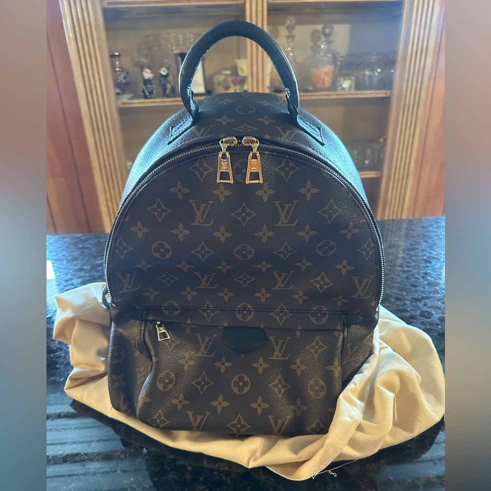 Louis Vuitton Palm Springs MM Backpack